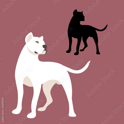 Dog Argentine vector illustration style Flat set