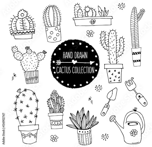 Hand Drawn Cactus Collection