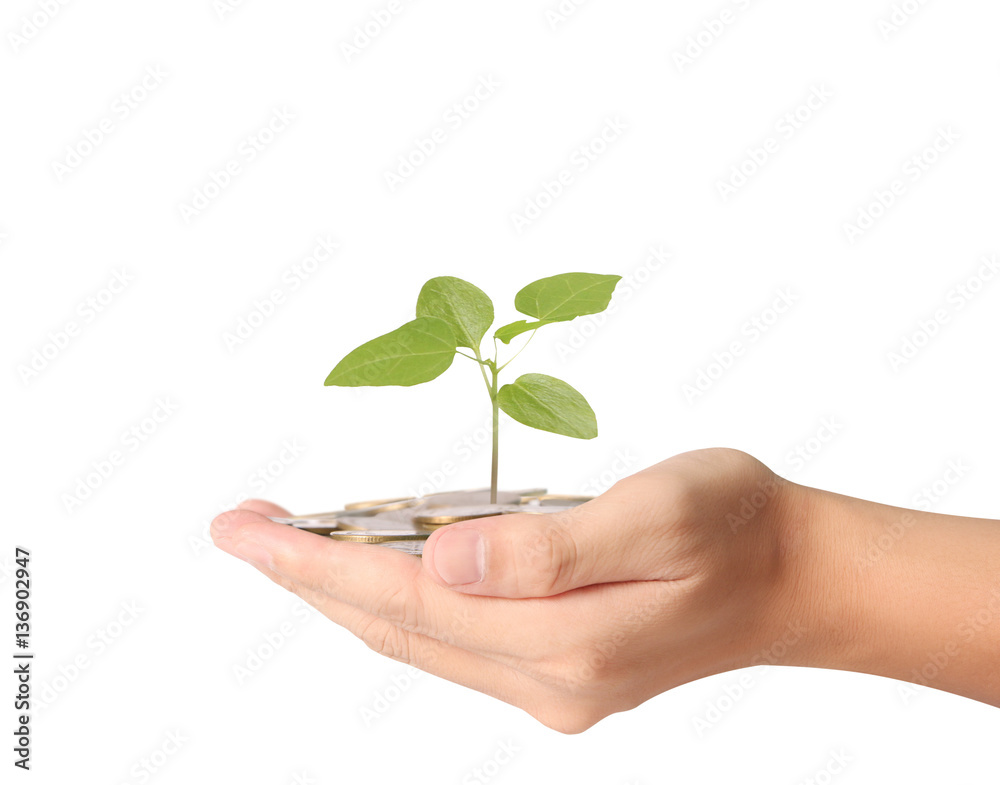 plant growing from coins in hand plant growing from coins in hand