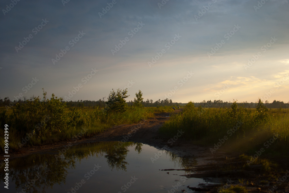 wetland on the road to Onega
