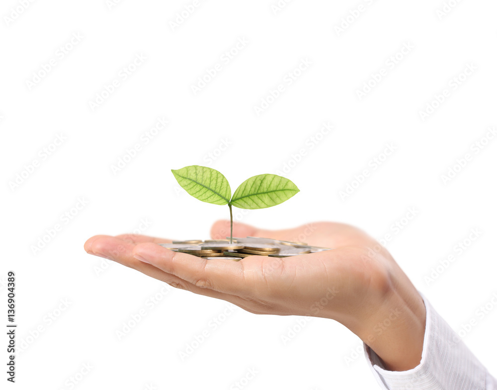 plant growing from coins in hand plant growing from coins in hand