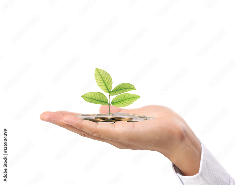 plant growing from coins in hand plant growing from coins in hand