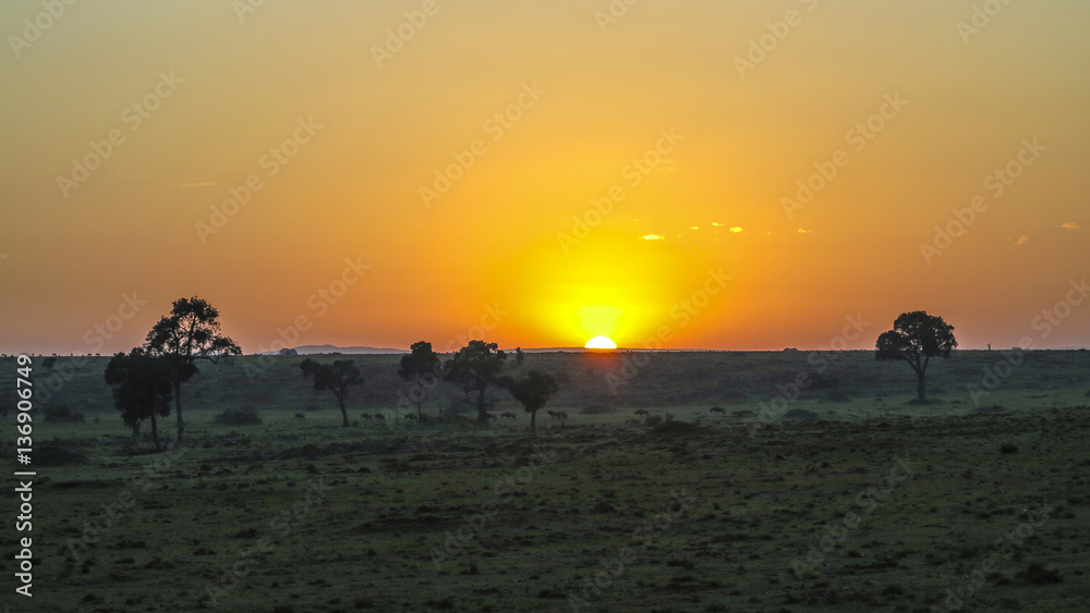 sunset in Masai Mara National Park.
