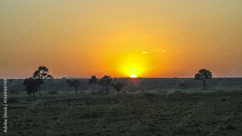 sunset in Masai Mara National Park.