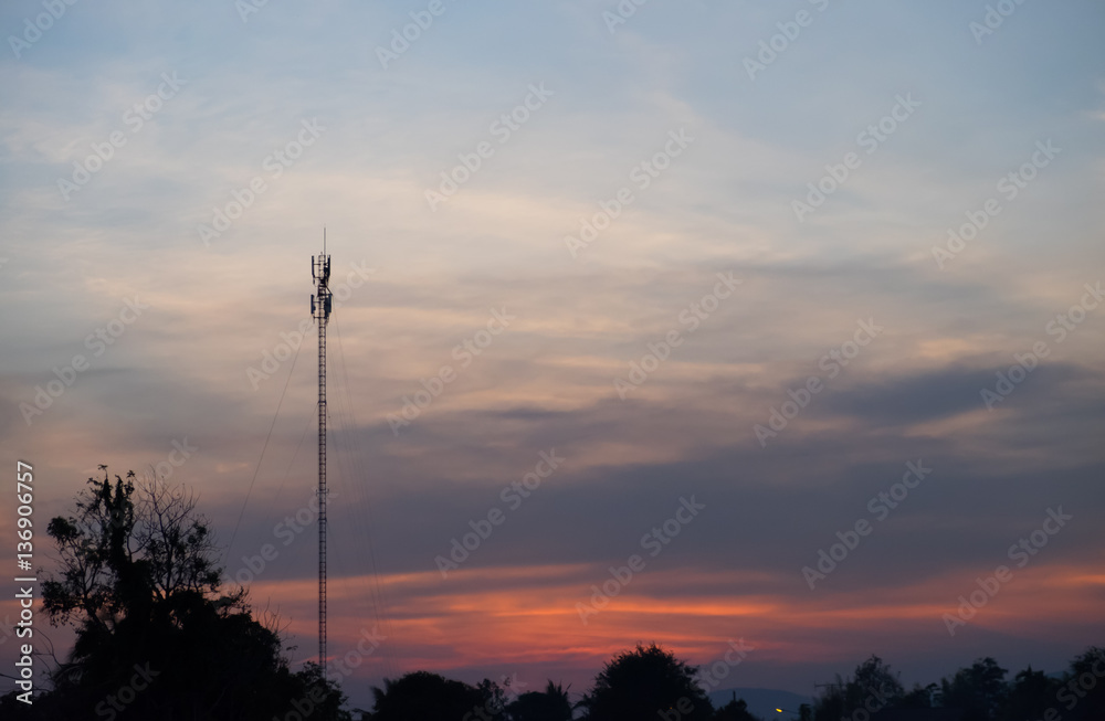 Naklejka premium Silhouette of a tree with the sun behind the tree. In the evenin
