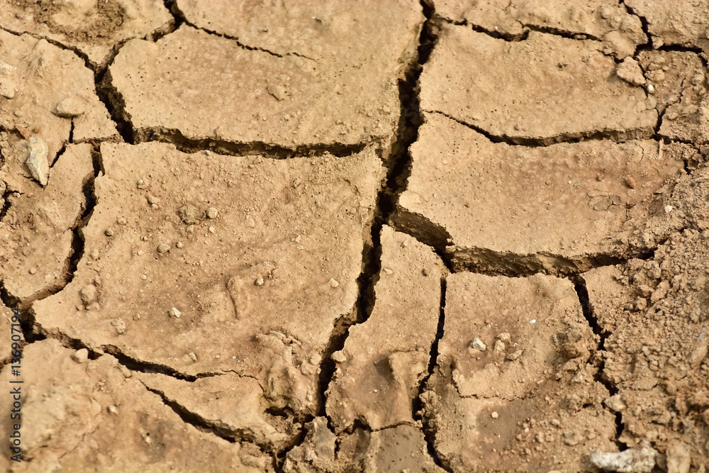 Fototapeta premium Drought