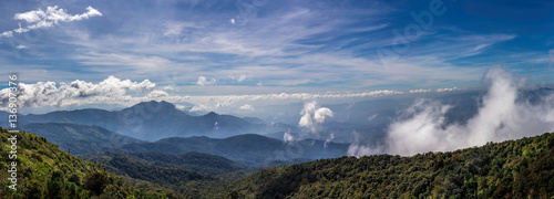 View of mountain peaks, coniferous tropical forest. Panorama