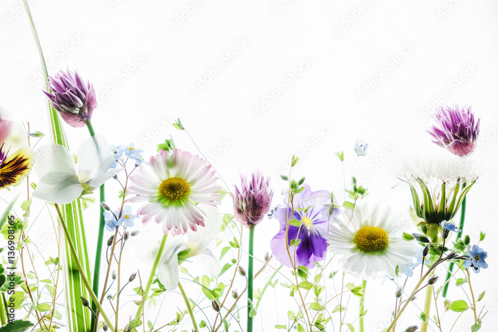 Fototapeta wiosenne kwiaty