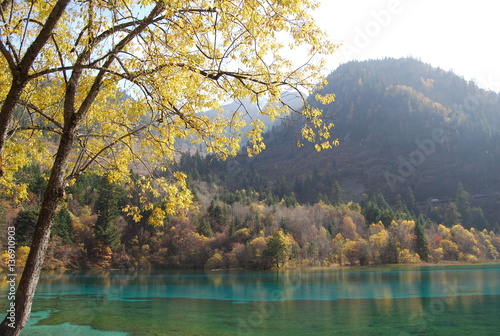Autumn scene with colorful trees reflection on blue lake at Jiuzhaigou, Sichuan province, China