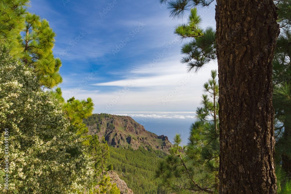 Wonderful view from Mirador de la Crucita, Tenerife Wonderful view from Mirador de la Crucita, Tenerife