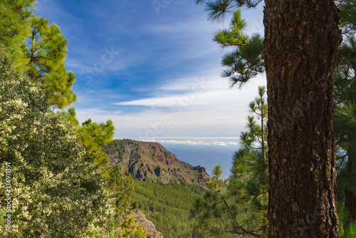Wonderful view from Mirador de la Crucita, Tenerife