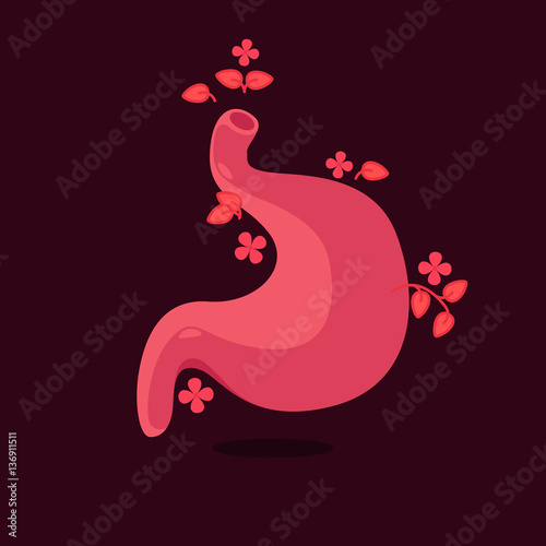 Wallpaper Mural stomach vector illustration Torontodigital.ca