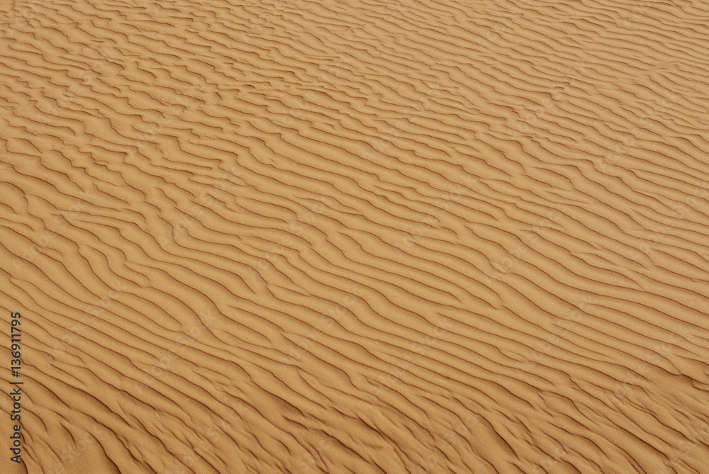 Sand dune background Sand dune background