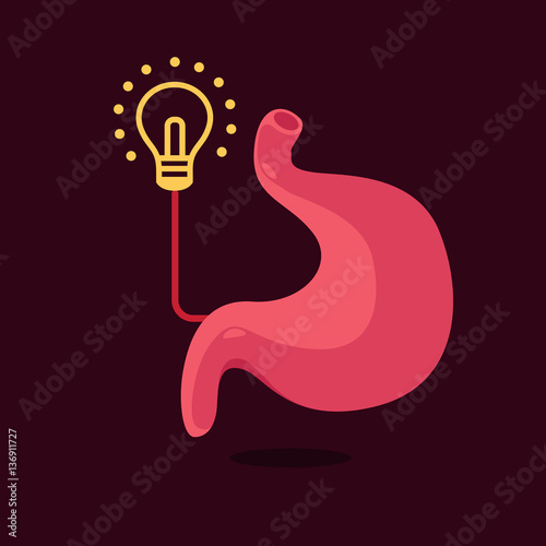 stomach vector illustration