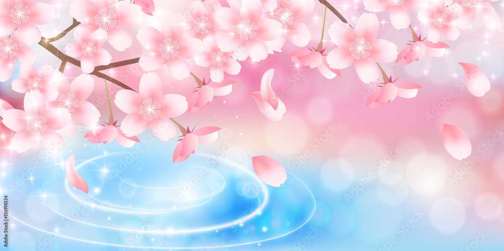 Obraz premium 桜 春 花 背景