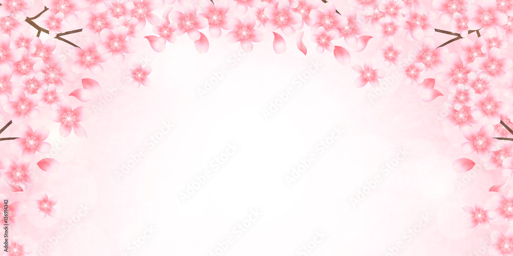 桜　春　花　背景 
