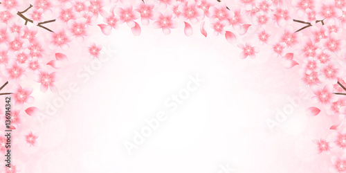 桜 春 花 背景 