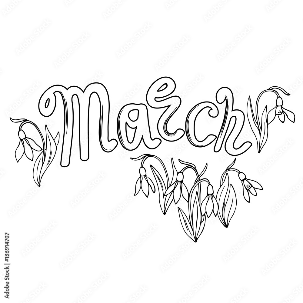 Fototapeta premium vector white black contour sketch of snowdrop flowers with word march 