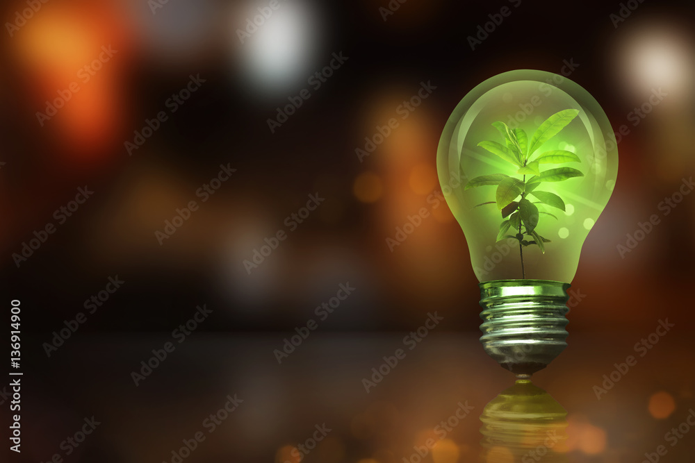 Small plant inside light bulb with blurred light