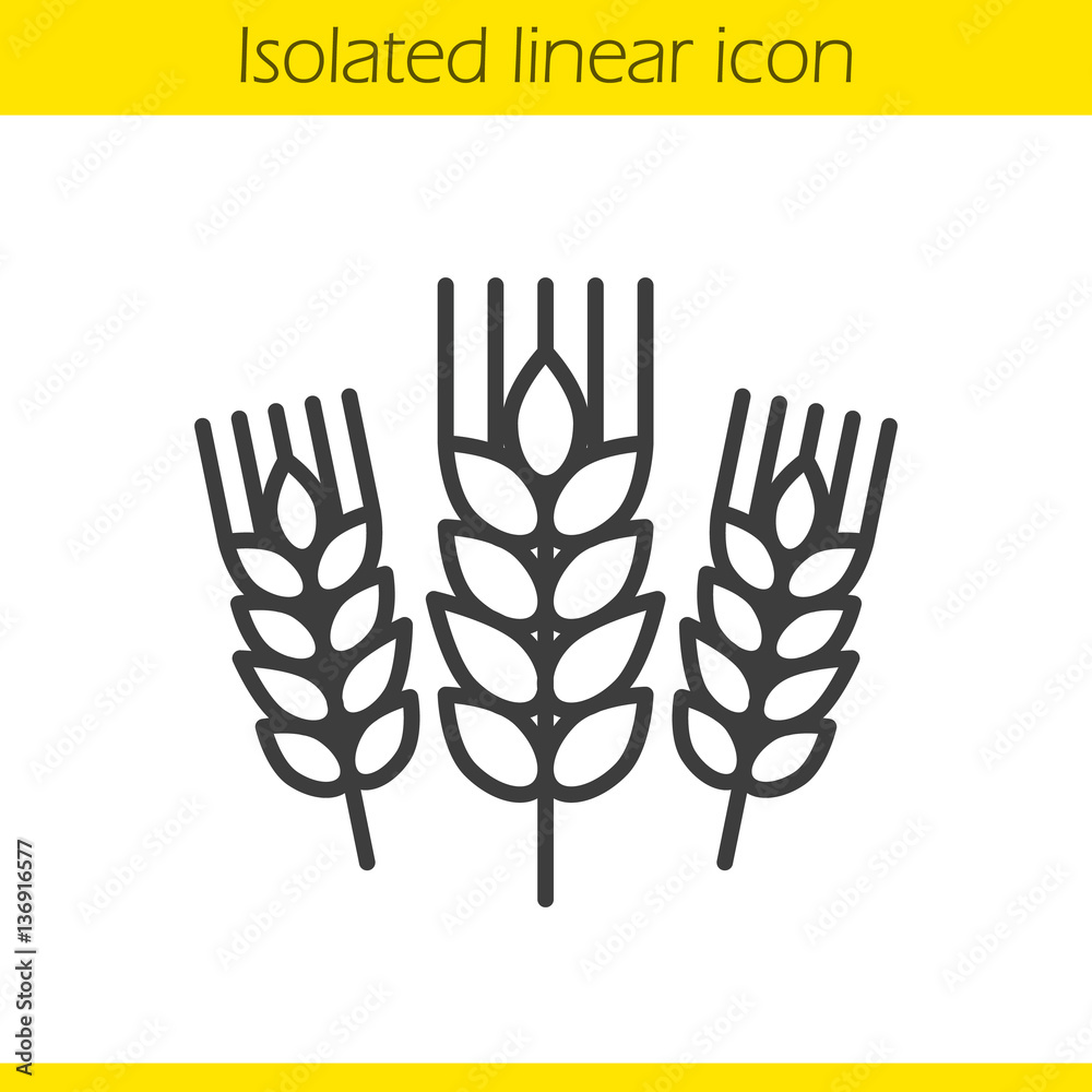 Fototapeta premium Wheat ears linear icon