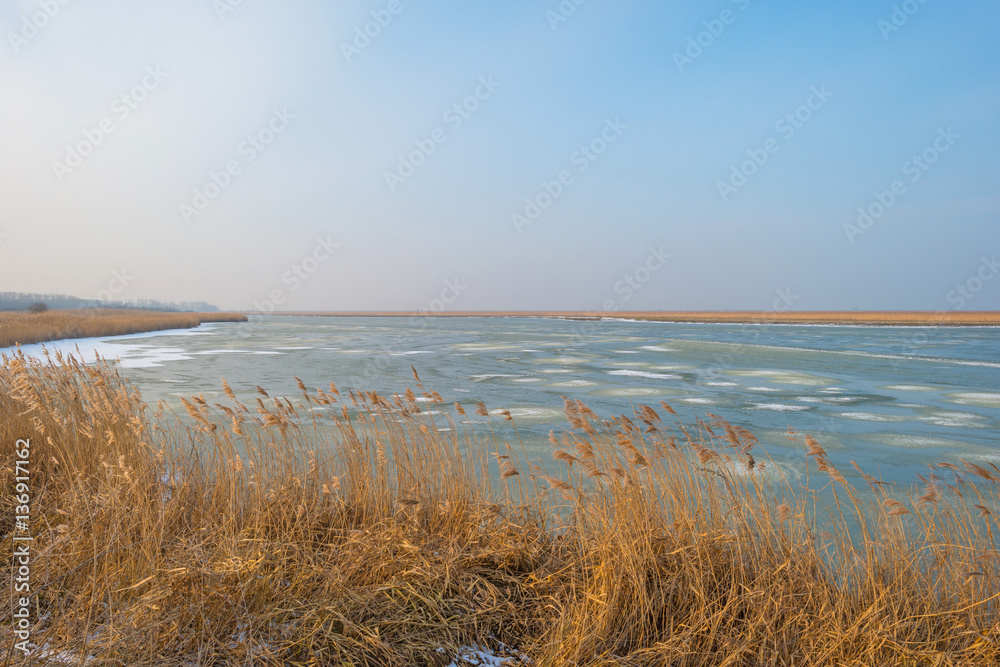 Shore of a frozen lake in winter 
