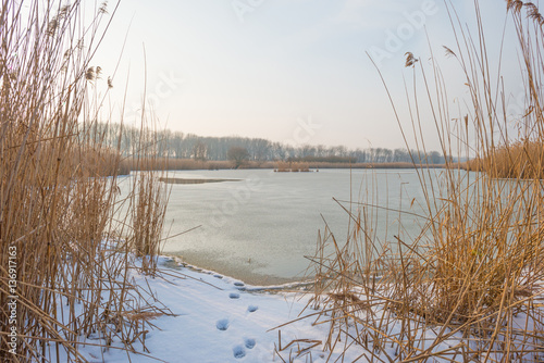 Fototapeta Naklejka Na Ścianę i Meble -  Shore of a frozen lake in winter 