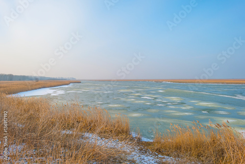 Shore of a frozen lake in winter 