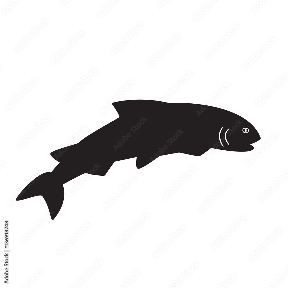 Fish salmon isolated on the white background Fish salmon isolated on the white background