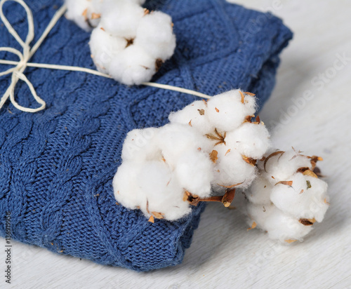 Still life with blue trendy winter knitted sweater and delicate white flowers of cottons