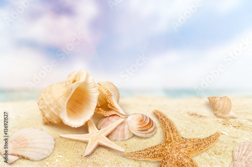 Shell. © BillionPhotos.com