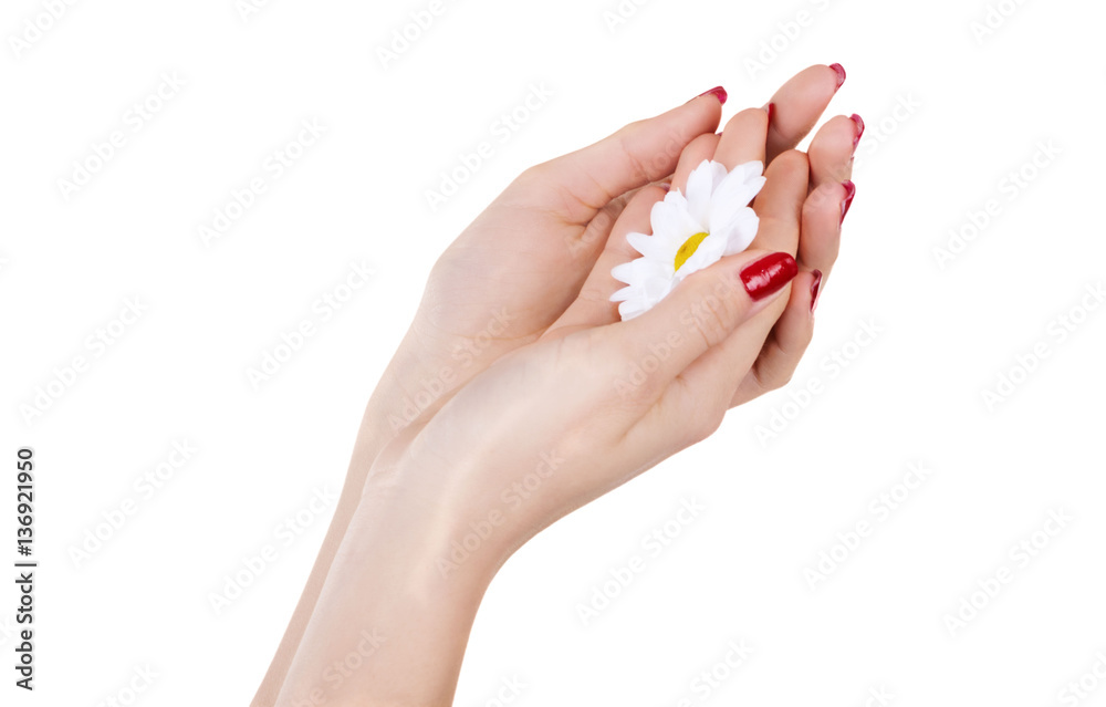 feminine hands with a flower