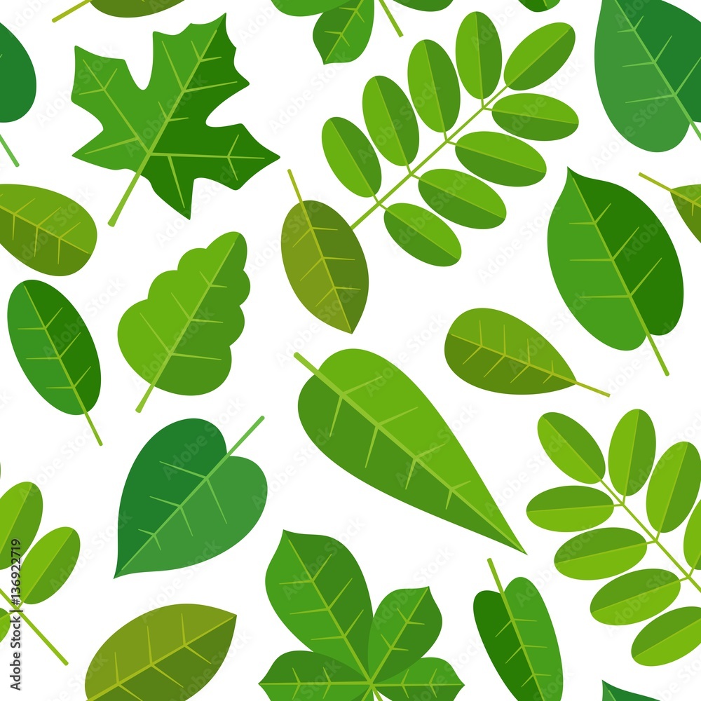 Seamless pattern leafs. Vector flat color illustration. Isolated white background