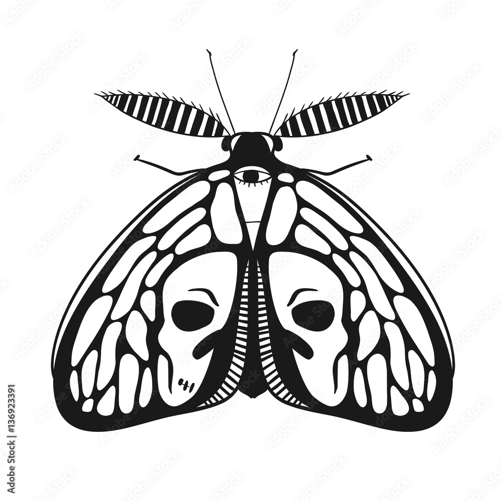 Black And White Mystical Moth With Skull On Wings, Vector Illustration 