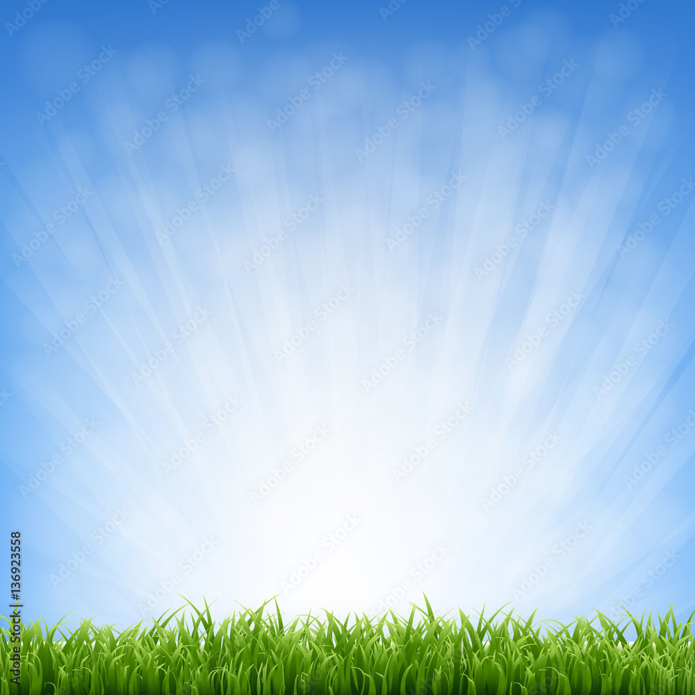 Grass With Blue Sky And Grass Border Grass With Blue Sky And Grass Border