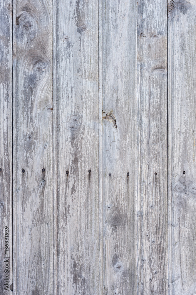 The white wood texture with natural patterns background The white wood texture with natural patterns background