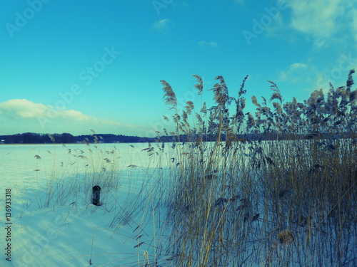 Fototapeta Naklejka Na Ścianę i Meble -  Mazury zimą- jezioro Isąg