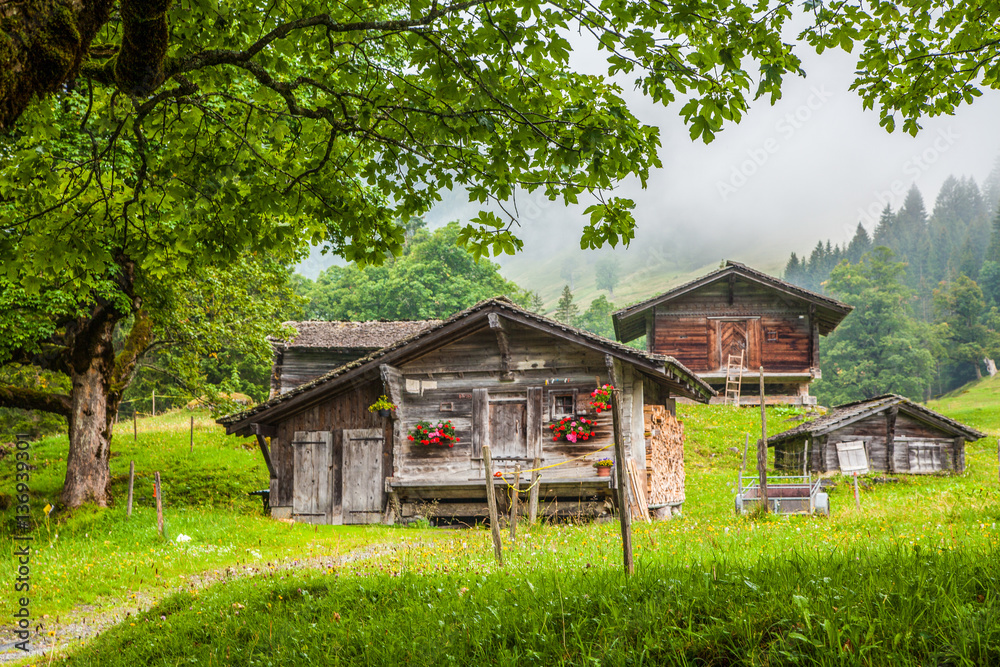 Traditional wooden mountain chalets in the Alps