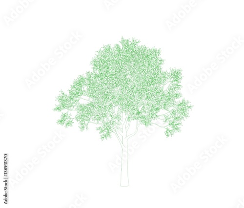 Apple tree. Isolated on white background. Sketch illustration.