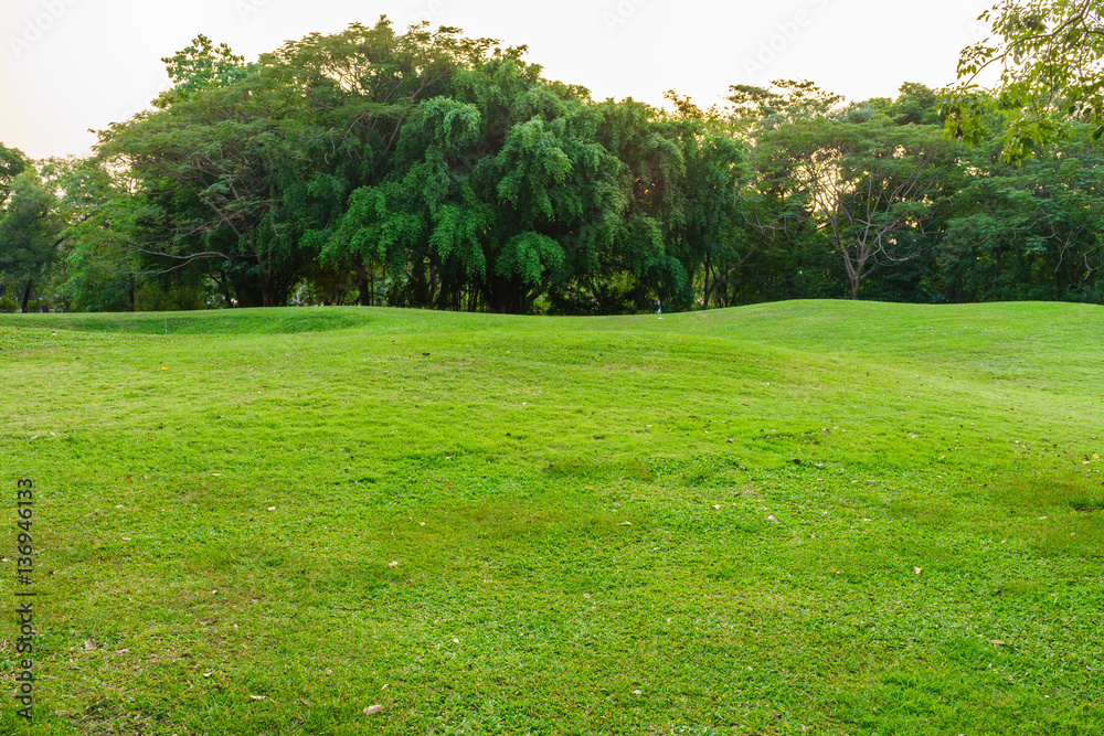 Mound in a park. There are grasses covering it. Mound in a park. There are grasses covering it.