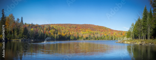 Autumn landscape