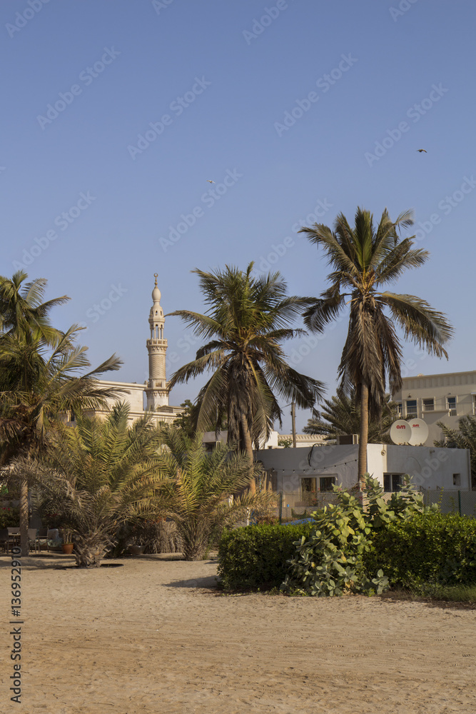 sand, palms and minaret