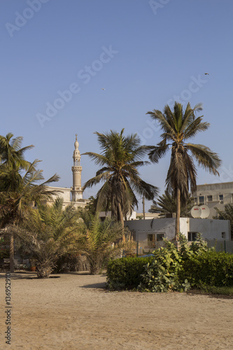 sand  palms and minaret