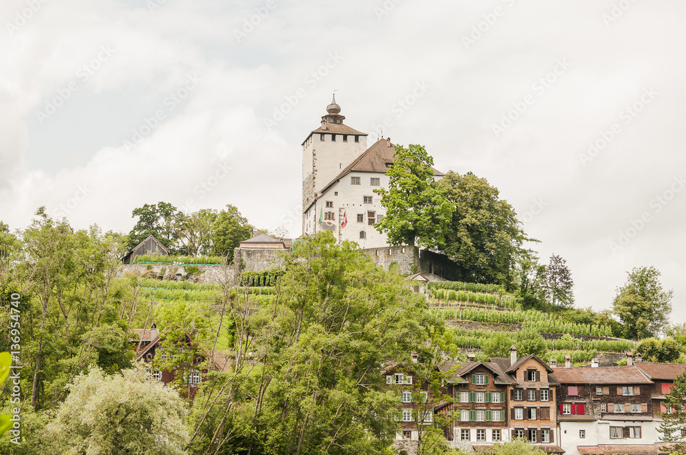 Buchs, Werdenberg, Stadt, Altstadt, historische Häuser, Schloss, Weinberg, Wanderweg, Spazierweg, Sommer, Rheintal, Schweiz