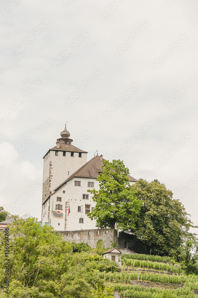 Werdenberg, Buchs, Stadt, Altstadt, Schloss, historische Häuser, Weinberg, Aussichtspunkt, Wanderweg, Sommer, Rheintal, Schweiz