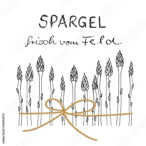 Spargel Plakat Hintergrund Element gezeichnet Vektor freigestellt - Frisch vom Feld 