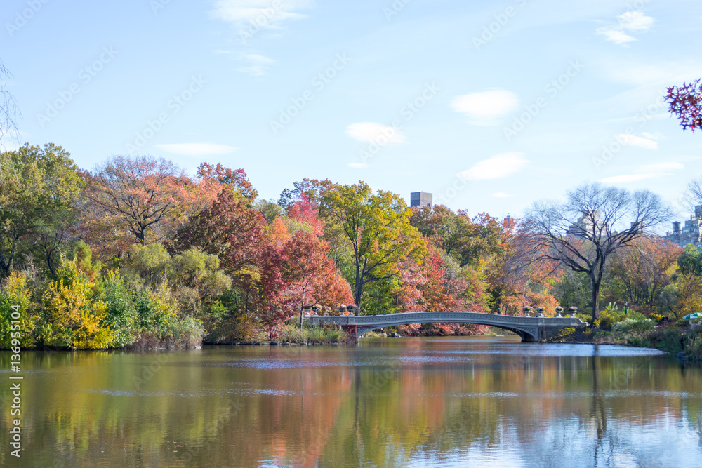Bow bridge during the fall in Central Park