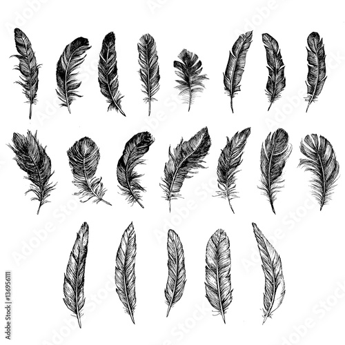 Vector Black and White Feather Pattern