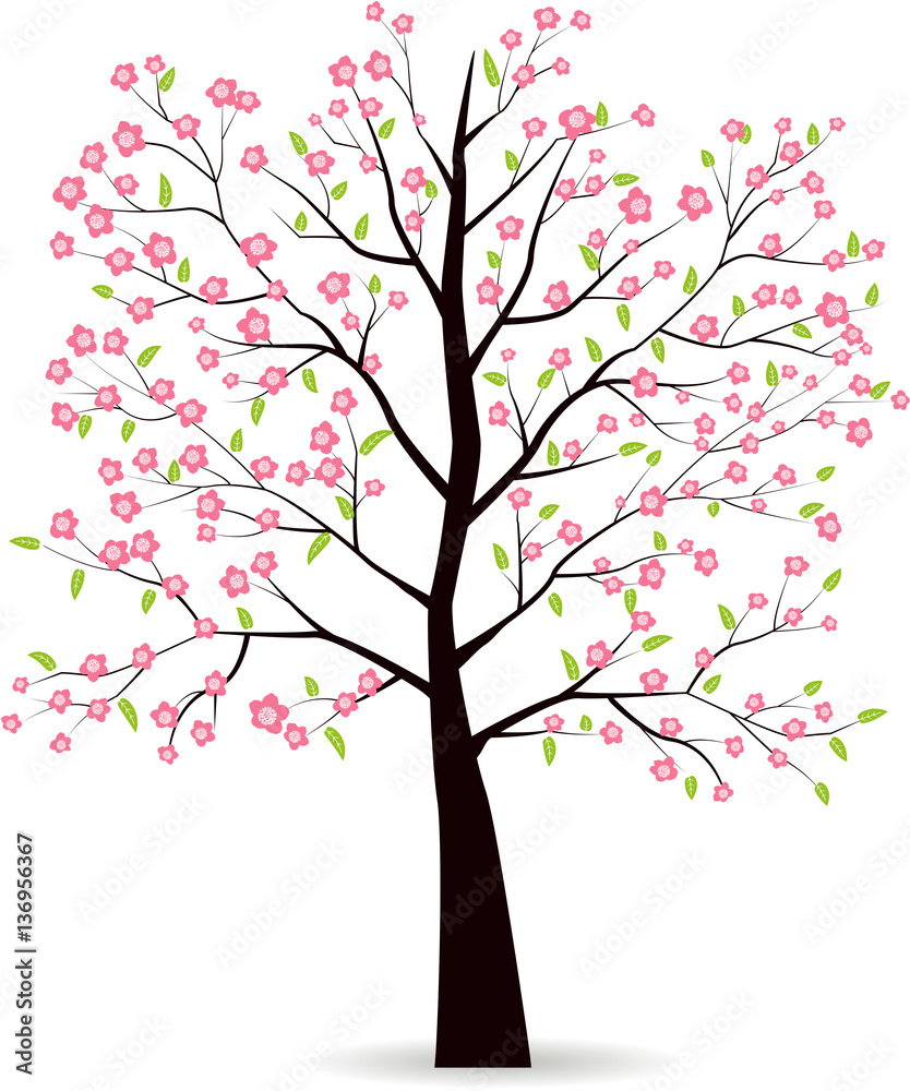 Obraz premium Spring Tree isolated on white.