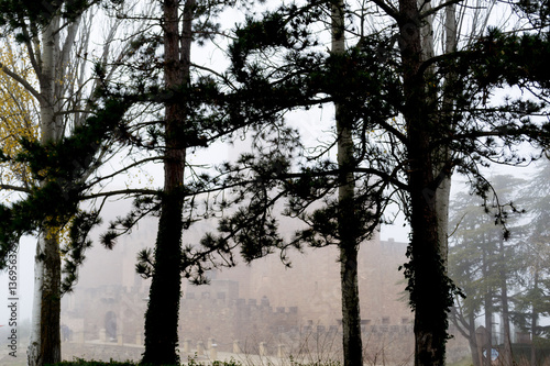 Castle of Xavier on a foggy day (Spain) photo