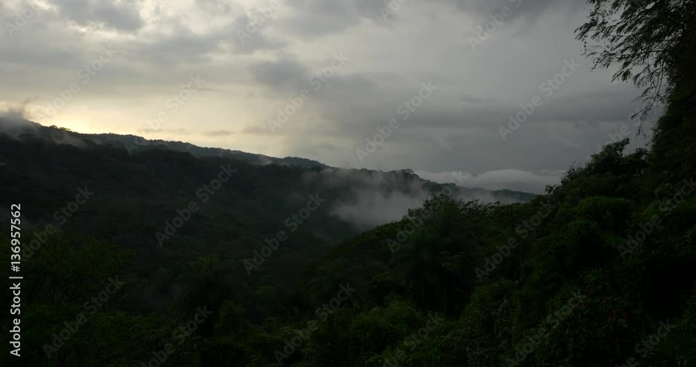 big bird flying over jungle landscape in sunset big bird flying over jungle landscape in sunset